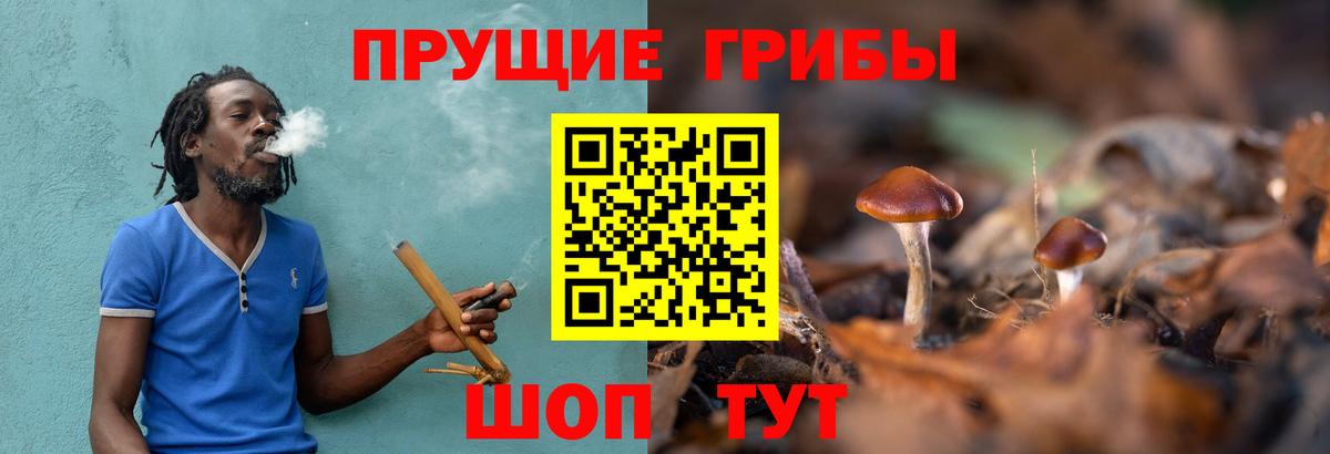 наркотики  Вход с VPN  Гатчина  Галлюциногенные грибы мицелий 